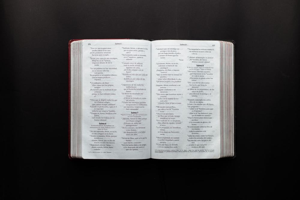 An open Bible resting in soft, quiet light